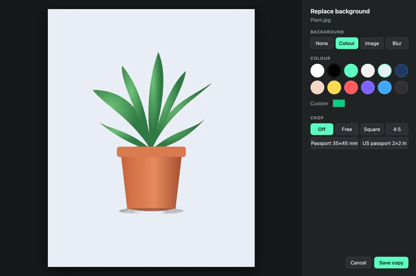 Orbo's Replace background window showing a plant cut out onto a light background